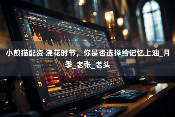 小煎猫配资 浇花时节，你是否选择给记忆上油_月季_老张_老头