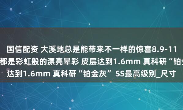 国信配资 大溪地总是能带来不一样的惊喜8.9-11.5mm 紫灰色调 每颗都是彩虹般的漂亮晕彩 皮层达到1.6mm 真科研“铂金灰” SS最高级别_尺寸