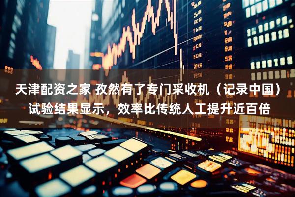 天津配资之家 孜然有了专门采收机（记录中国） 试验结果显示，效率比传统人工提升近百倍