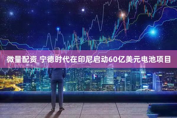 微量配资 宁德时代在印尼启动60亿美元电池项目
