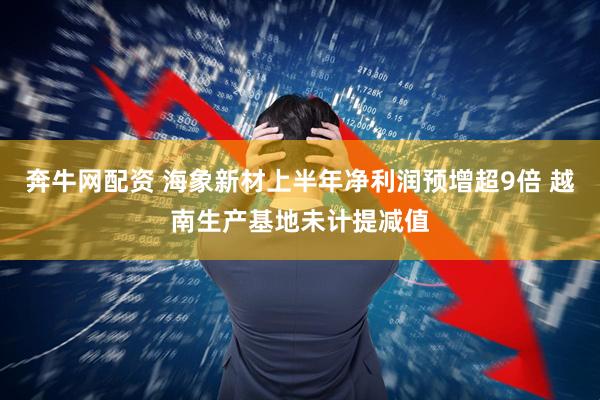奔牛网配资 海象新材上半年净利润预增超9倍 越南生产基地未计提减值