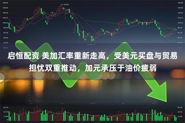 启恒配资 美加汇率重新走高，受美元买盘与贸易担忧双重推动，加元承压于油价疲弱