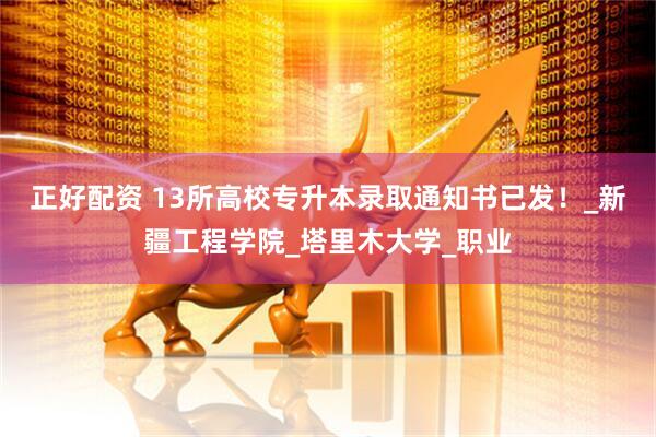 正好配资 13所高校专升本录取通知书已发！_新疆工程学院_塔里木大学_职业