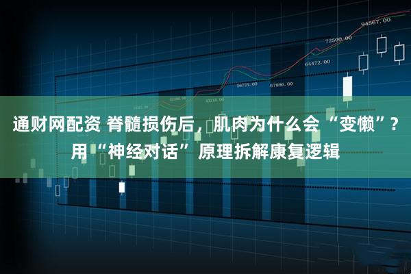 通财网配资 脊髓损伤后，肌肉为什么会 “变懒”？用 “神经对话” 原理拆解康复逻辑