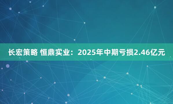 长宏策略 恒鼎实业:2025年中期亏损2.46亿元
