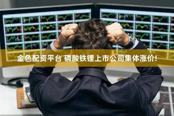 金色配资平台 磷酸铁锂上市公司集体涨价!