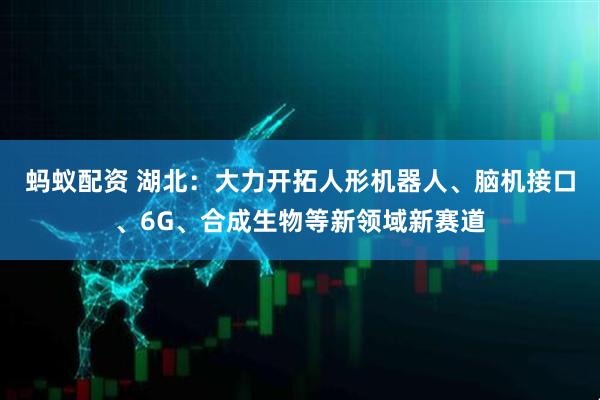 蚂蚁配资 湖北:大力开拓人形机器人、脑机接口、6G、合成生物等新领域新赛道